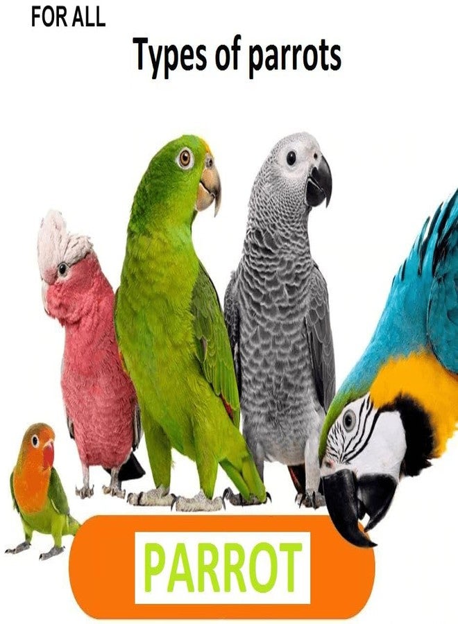 FINEWORLD, Premium Sunflower Seeds for Medium and Large Parrots, Natural Bird Food, 450g, Hand-Picked, No Preservatives, Suitable for Finches, Parakeets, African Grey, Cockatoo, Macaws - Image 2